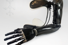 14ELMT Custom Complete SD Prosthesis